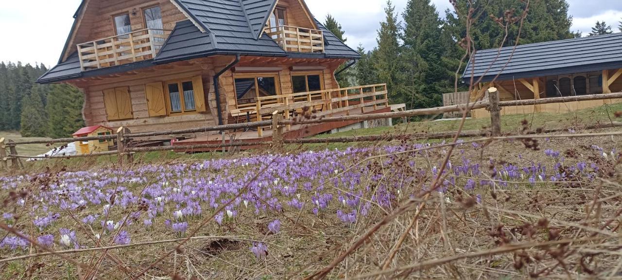 Вилла Gosciniec Dziubasowki Новы-Тарг Экстерьер фото